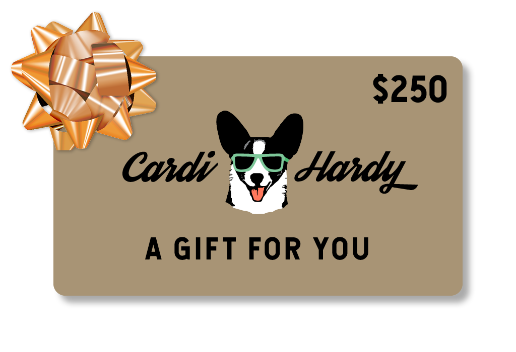 Cardi Hardy gift card - value is 250 dollars